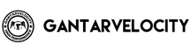 Gantarvelocity